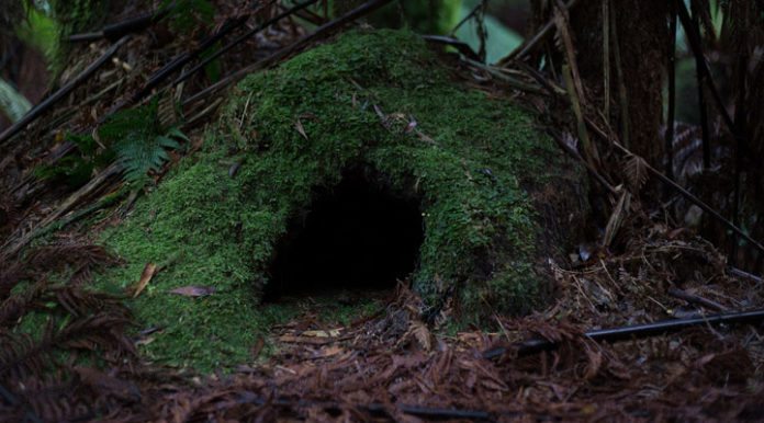 cave