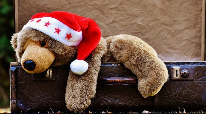 holiday-bear